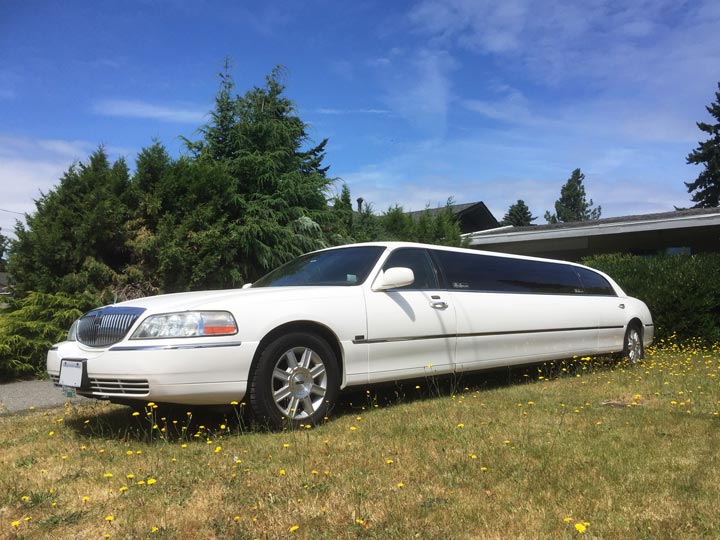stretch limousines for private transportation