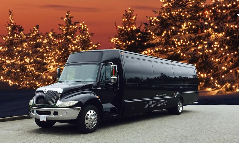 Book Holiday Limo Service Today
